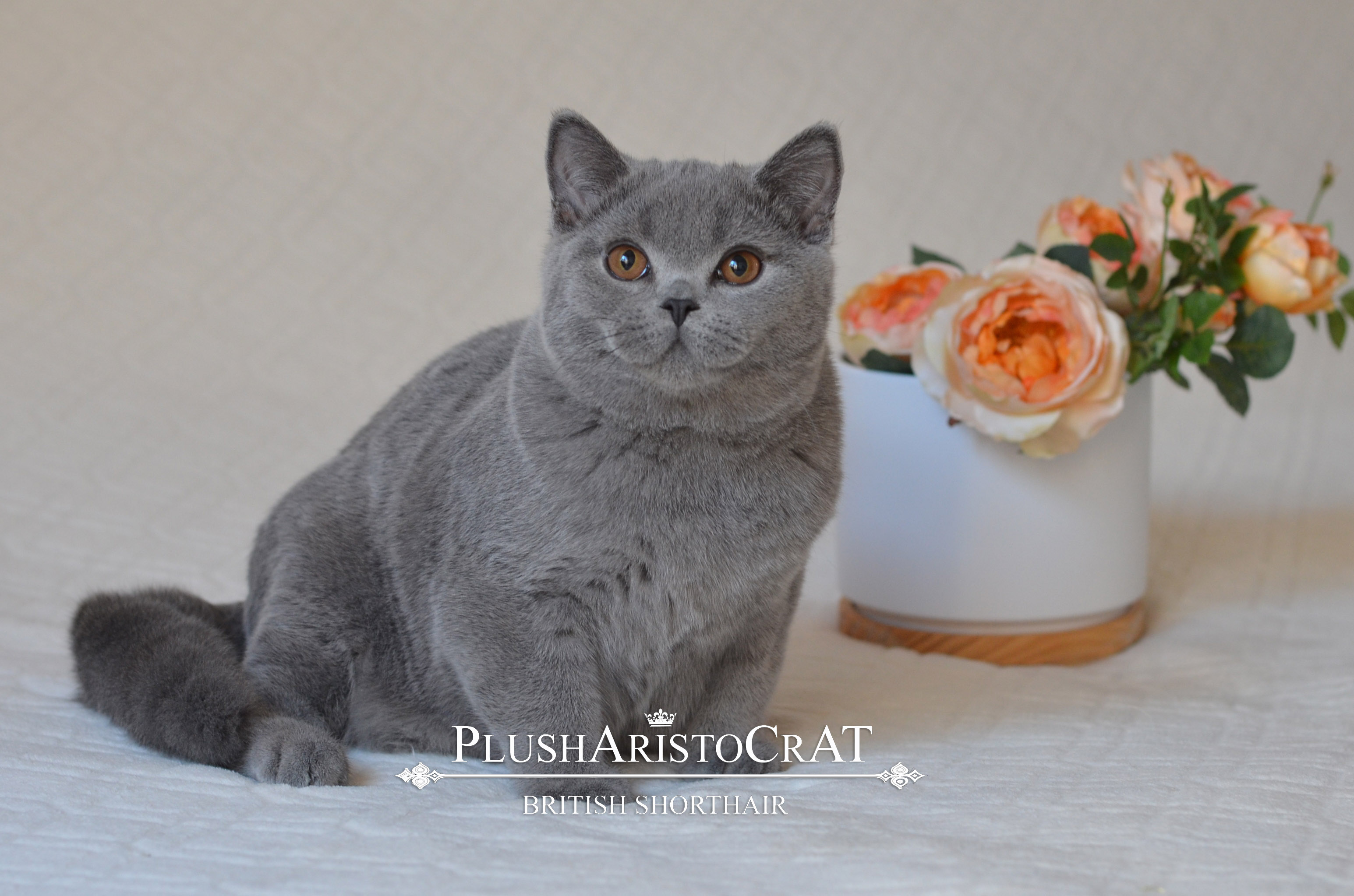 B 14.08.25 Fernando Xailey