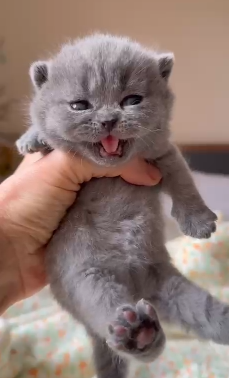 B 14.08.25 Fernando Xailey