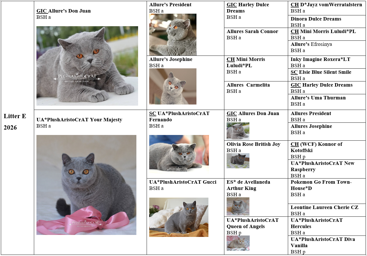 B 14.08.25 Fernando Xailey