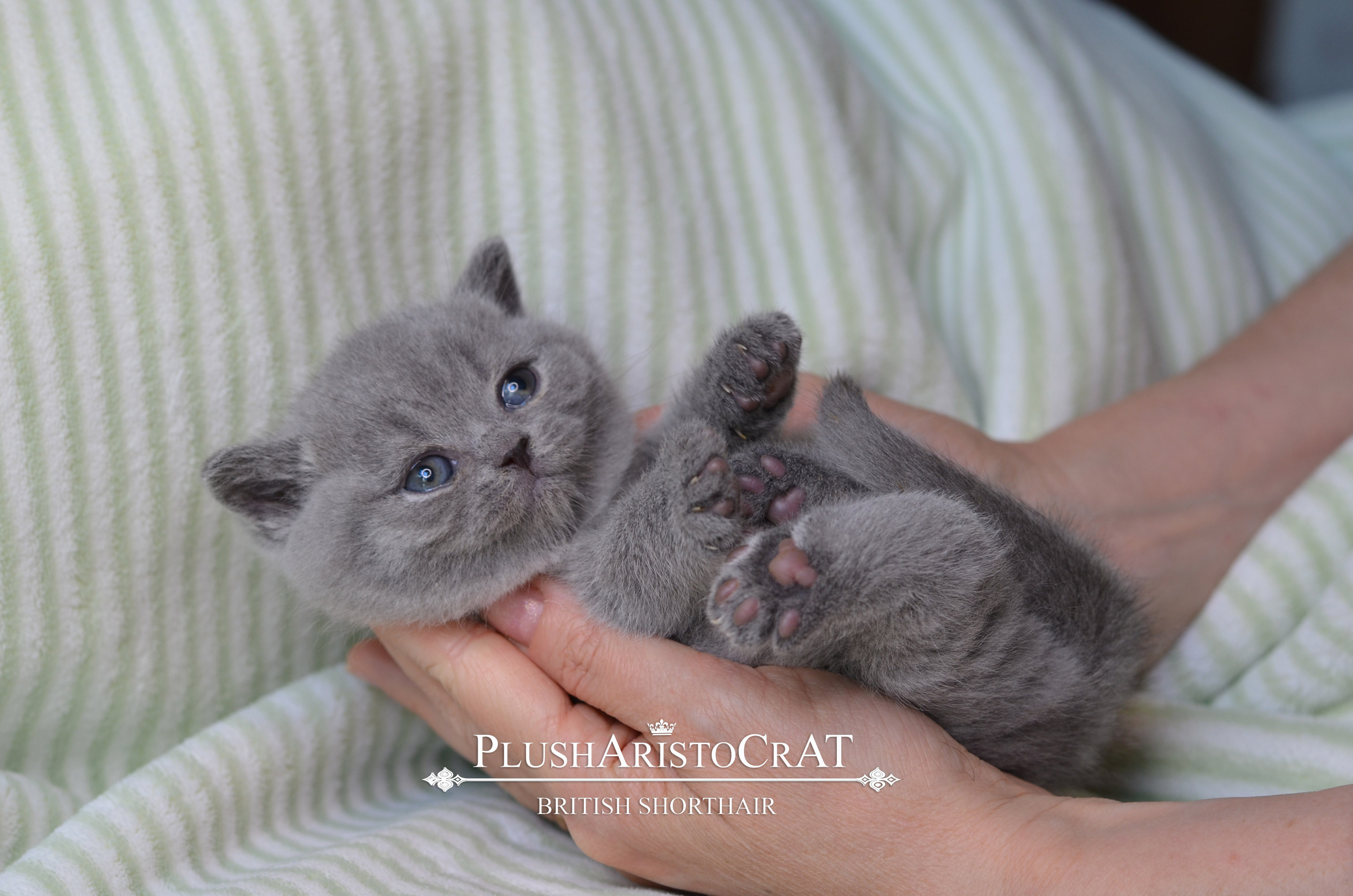 B 14.08.25 Fernando Xailey