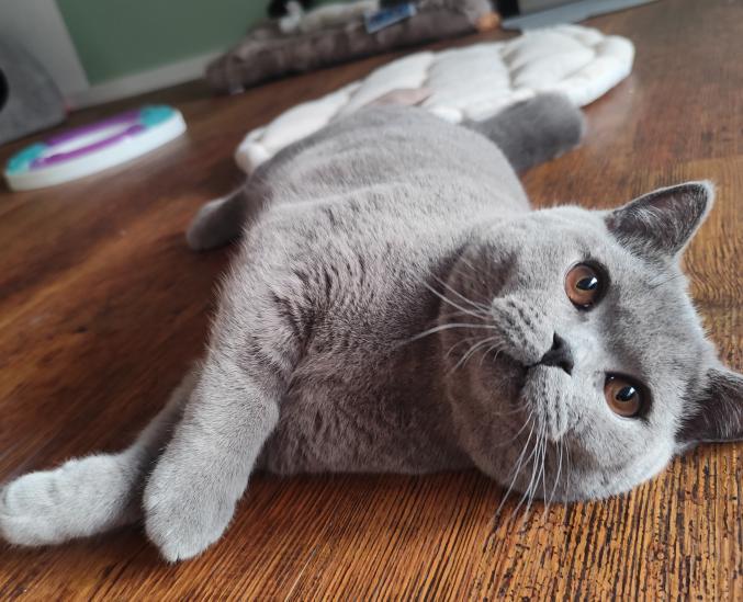 piki